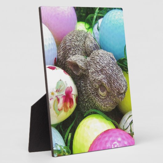 DSCF0438.JPG FOTOPLATTE (Seite)