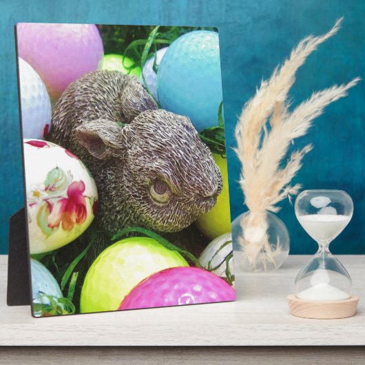 DSCF0438.JPG FOTOPLATTE (Seite)