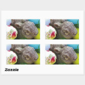 DSCF0438.JPG RECHTECKIGER AUFKLEBER (Blatt)