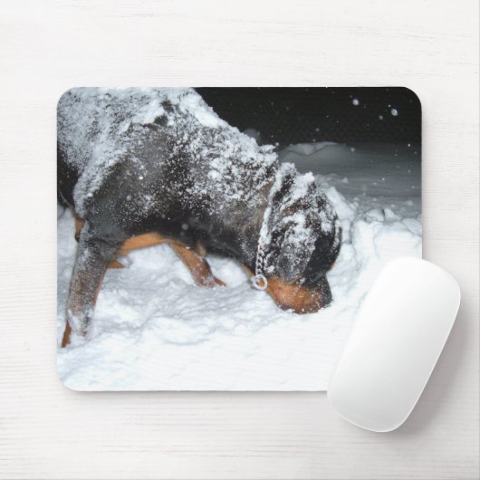 DSCF0448 MOUSEPAD (Mit Mouse)