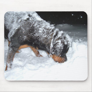 DSCF0448 MOUSEPAD