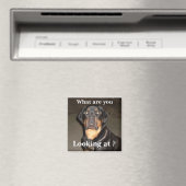 DSCF0490, Was sind Sie , Schauen Sie sich an ? Magnet (In Situ (Geschirrspüler))