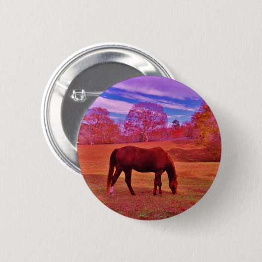 DSCF0536.JPG BUTTON (Vorne & Hinten)