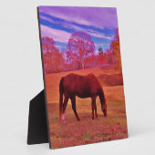 DSCF0536.JPG FOTOPLATTE (Seite)