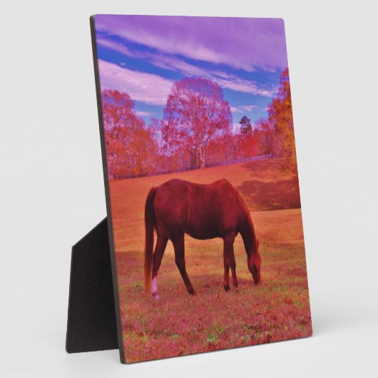 DSCF0536.JPG FOTOPLATTE (Seite)