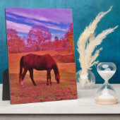 DSCF0536.JPG FOTOPLATTE (Seite)