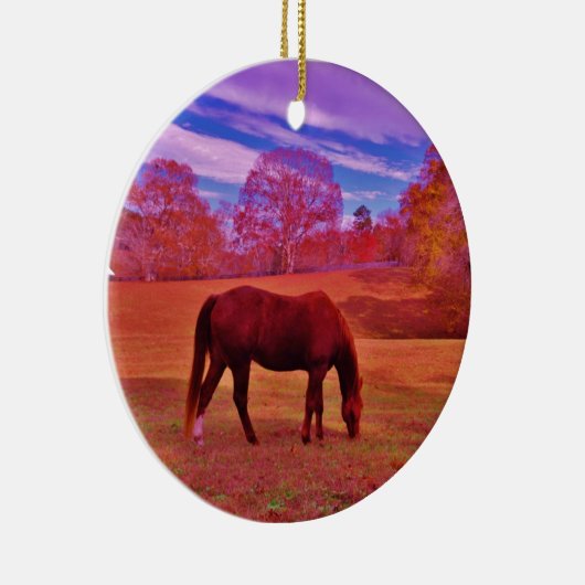 DSCF0536.JPG KERAMIKORNAMENT (Rechts)