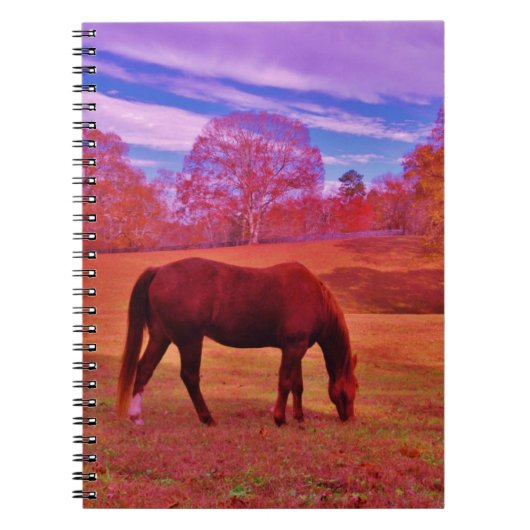 DSCF0536.JPG NOTIZBLOCK (Vorderseite)