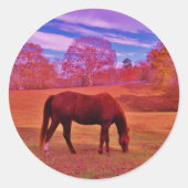 DSCF0536.JPG RUNDER AUFKLEBER (Vorderseite)