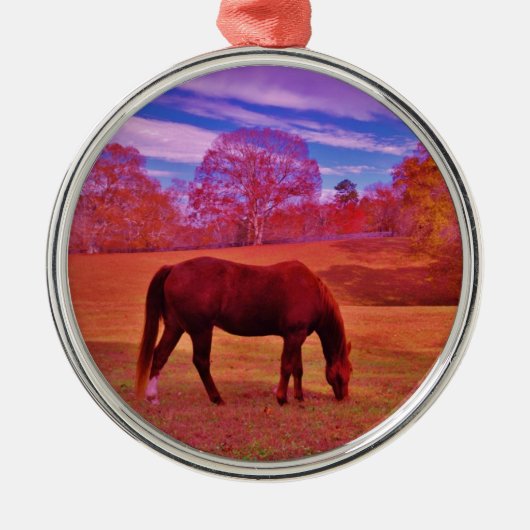 DSCF0536.JPG SILBERNES ORNAMENT (Vorne)