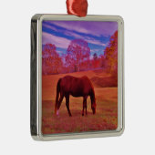 DSCF0536.JPG SILBERNES ORNAMENT (Rechts)