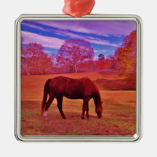 DSCF0536.JPG SILBERNES ORNAMENT (Vorne)