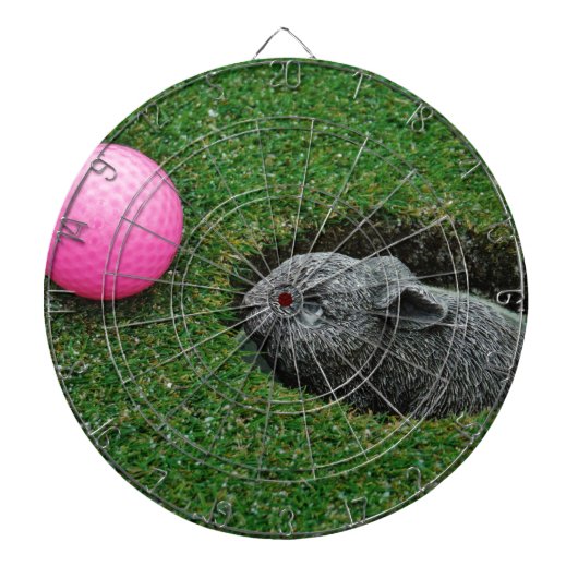 DSCF0652.JPG DARTSCHEIBE (vorne)