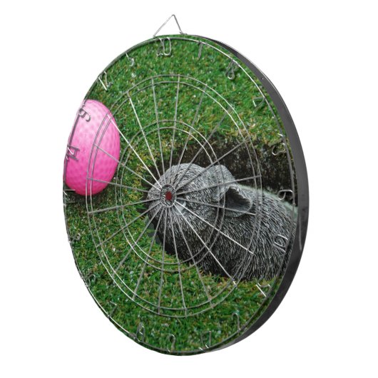 DSCF0652.JPG DARTSCHEIBE (Vorderseite rechts)