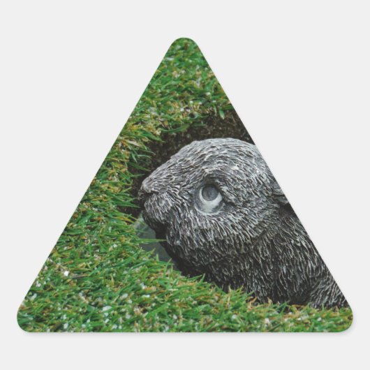 DSCF0652.JPG DREIECKIGER AUFKLEBER (Vorderseite)