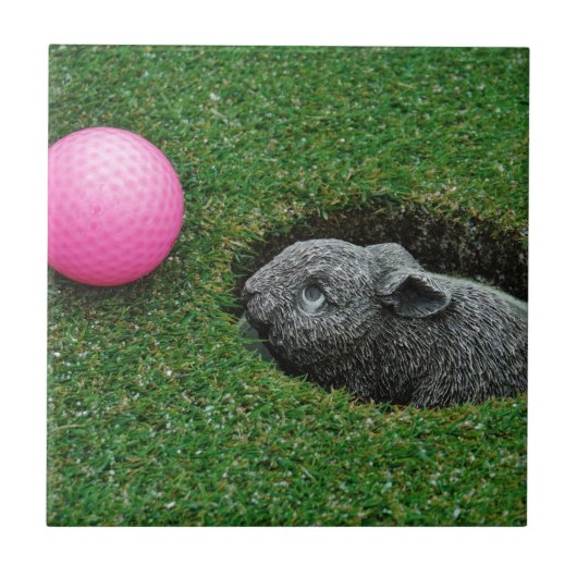 DSCF0652.JPG FLIESE (Vorderseite)