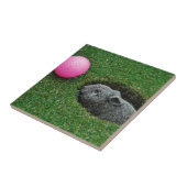 DSCF0652.JPG FLIESE (Seite)