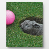 DSCF0652.JPG FOTOPLATTE (Vorderseite)