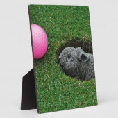 DSCF0652.JPG FOTOPLATTE (Seite)