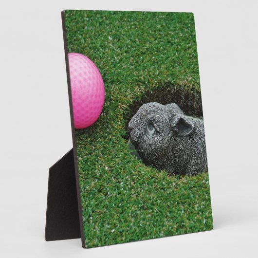 DSCF0652.JPG FOTOPLATTE (Seite)