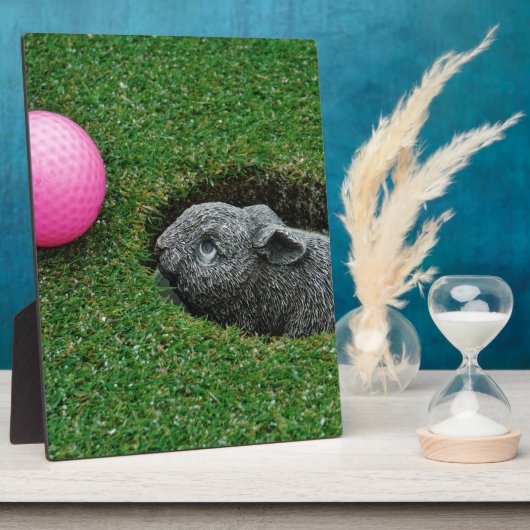 DSCF0652.JPG FOTOPLATTE (Seite)