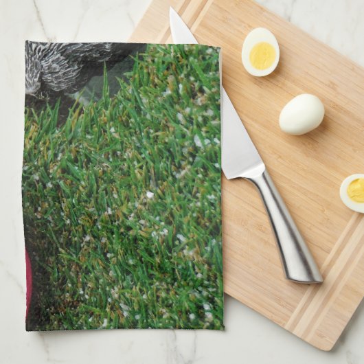 DSCF0652.JPG GESCHIRRTUCH (Viertel Falte)