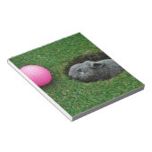 DSCF0652.JPG NOTIZBLOCK (angewinkelt)