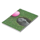 DSCF0652.JPG NOTIZBLOCK (Rotiert)