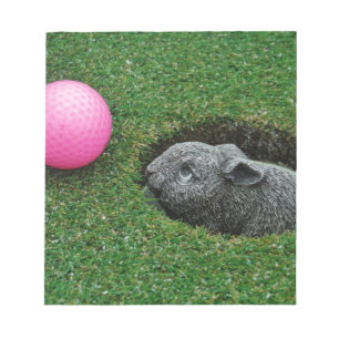 DSCF0652.JPG NOTIZBLOCK