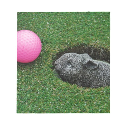 DSCF0652.JPG NOTIZBLOCK (Vorderseite)