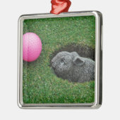 DSCF0652.JPG ORNAMENT AUS METALL (Links)