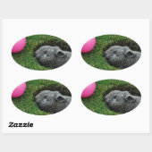 DSCF0652.JPG OVALER AUFKLEBER (Blatt)