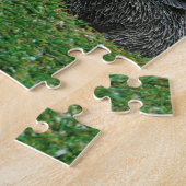 DSCF0652.JPG PUZZLE (Seite)