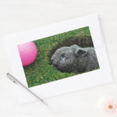 DSCF0652.JPG RECHTECKIGER AUFKLEBER (Umschlag)