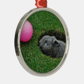 DSCF0652.JPG SILBERNES ORNAMENT (Rechts)