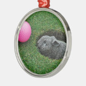 DSCF0652.JPG SILBERNES ORNAMENT (Links)