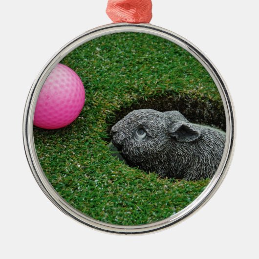 DSCF0652.JPG SILBERNES ORNAMENT (Vorne)