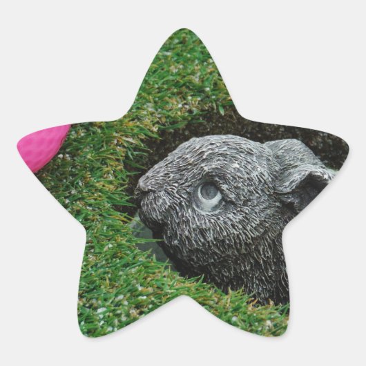 DSCF0652.JPG Stern-Aufkleber (Vorderseite)