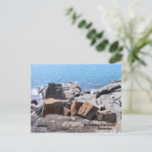 DSCF0691, Devonport, Tasmania Australien Postkarte (Stehend Vorderseite)