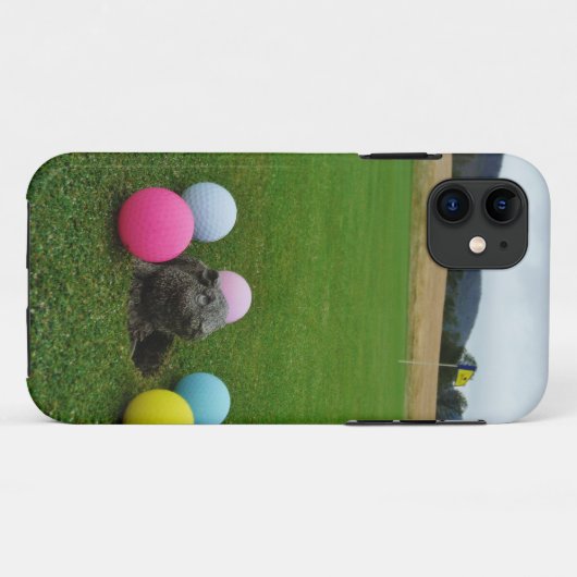 DSCF0692.JPG Case-Mate iPhone HÜLLE (Rückseite (Horizontal))