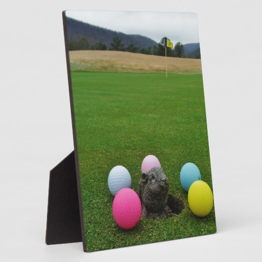 DSCF0692.JPG FOTOPLATTE (Seite)