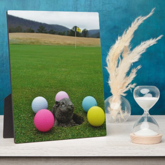 DSCF0692.JPG FOTOPLATTE (Seite)