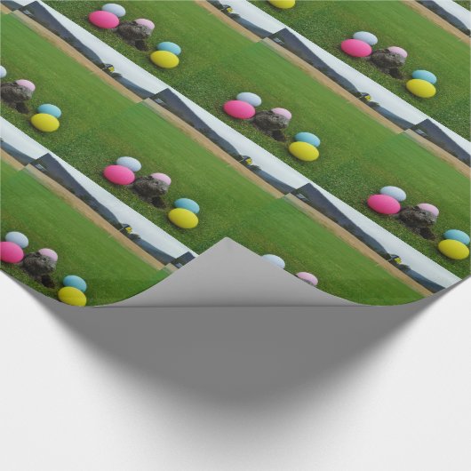 DSCF0692.JPG GESCHENKPAPIER (Ecke)