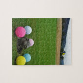 DSCF0692.JPG PUZZLE (Horizontal)