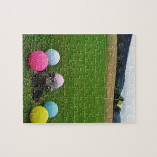 DSCF0692.JPG PUZZLE (Horizontal)