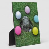 DSCF0698.JPG FOTOPLATTE (Seite)