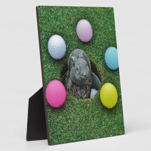 DSCF0698.JPG FOTOPLATTE (Seite)