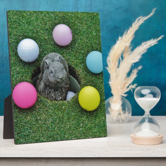 DSCF0698.JPG FOTOPLATTE (Seite)