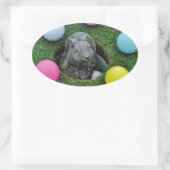 DSCF0698.JPG OVALER AUFKLEBER (Tasche)