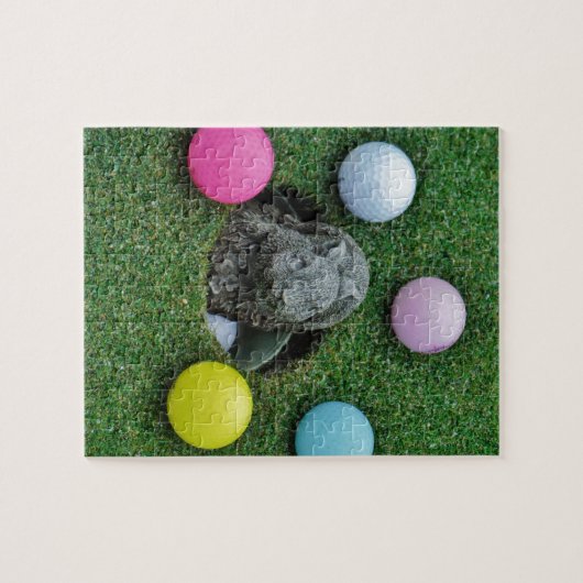 DSCF0698.JPG PUZZLE (Horizontal)